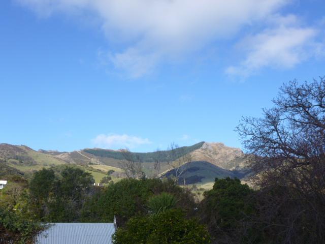 Oinako Bed & Breakfast Akaroa Rom bilde